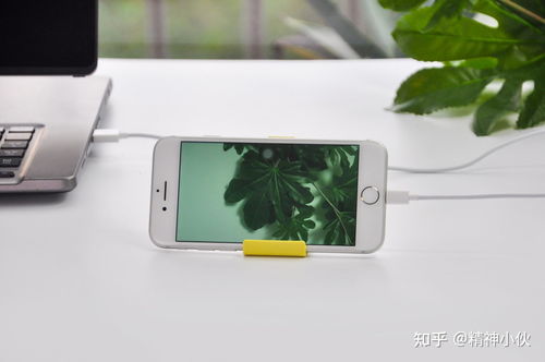 2021年蘋果產品選購指南 iPhone、iPad、iWatch、AirPods全方位解析及軟件設計開發推薦